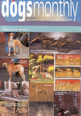 Link to Article: Alauntes, Bandogges, Gazehounds